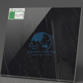 WSC-B289-60x60
